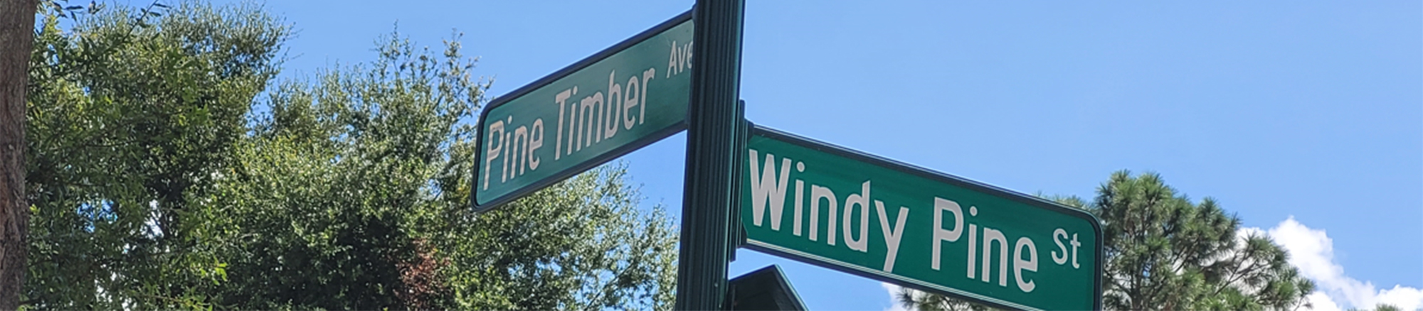 pine-timber-winy-pine-sign_banner